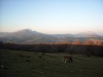 Image_004.jpg