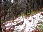 morcuera 027.jpg