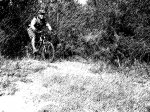 Imagen 003.jpg