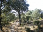 Vaya camino.jpg