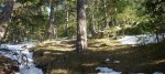 Panorama 03.jpg