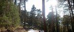 Panorama 1.jpg