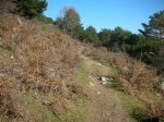 DSCN5436.JPG