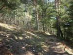 DSCN5437.JPG