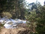 DSCN5438.JPG