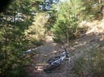 DSCN5439.JPG