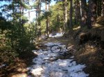 DSCN5440.JPG