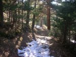 DSCN5441.JPG