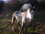 DSCN5446.JPG