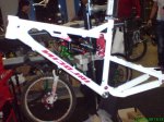 DSC00261.jpg