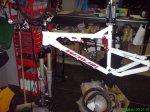 DSC00264.jpg