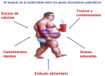 imagen7.png