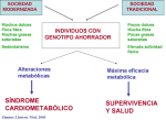 imagen9.png