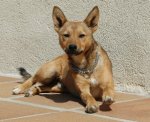 DSC_0003.jpg