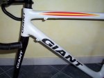 cuadro Giant 002.jpg