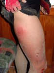DSC09219.jpg