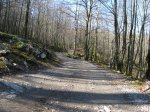 IMG_2926 (Large).JPG