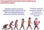 imagen2.png
