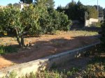 pump track 003.jpg