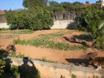 pump track 004.jpg