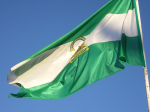 Bandera andalucia.png