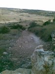 27022009007.jpg