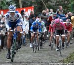 preview-muur3.jpg