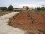 S.Eulalia-S.Carles 02.jpg