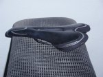 bioparmanilar y horq 010.jpg