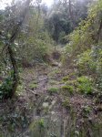collserola2.jpg