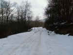 Foto0117.jpg