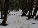 Foto0121.jpg