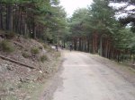 P2280411.jpg