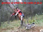 DSC00034.jpg