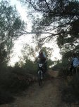 DSC06612.jpg