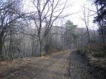 IMGP0123.jpg