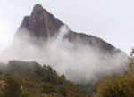 lavila31.jpg