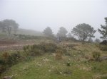 DSCN3201 (Large).JPG