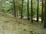 28022009367.jpg