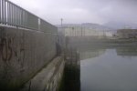 DSC01593.jpg