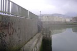 DSC01594.jpg
