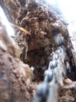 New_3_2009 02 533.JPG