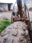 New_4_2009 02 534.JPG