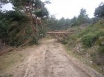 Foto7.JPG