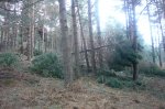 Foto9.JPG