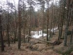 Foto10.JPG