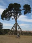 biciarbol2.jpg