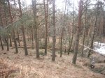 Foto11.JPG