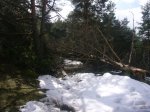 Foto14.JPG