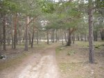 Foto17.JPG
